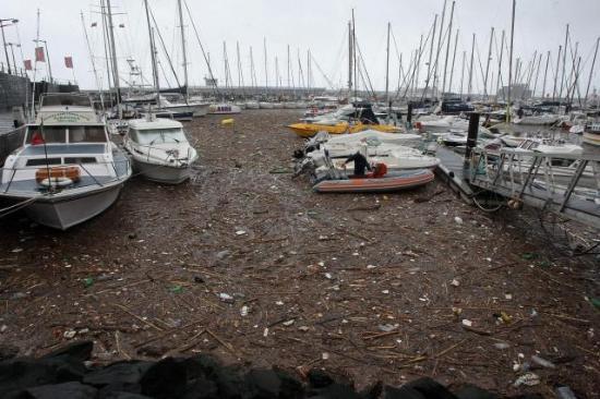 Madeira adasında sel - Resim 14