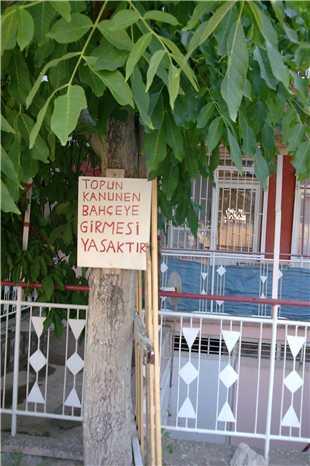 Yurdum insanından en komikler - Resim 24