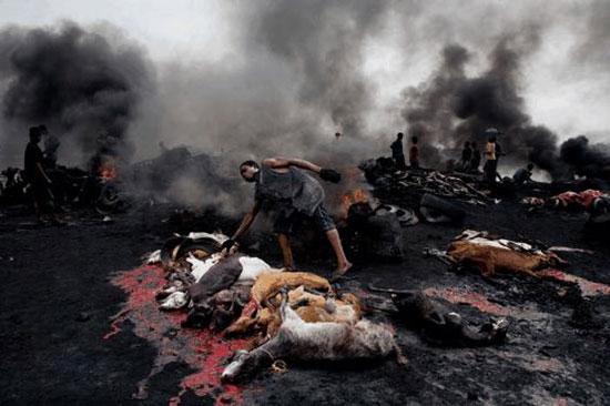 Dünyanın en saygın fotoğrafları - Resim 18