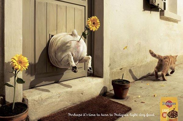 En çarpıcı reklam fotoğrafları - Resim 25