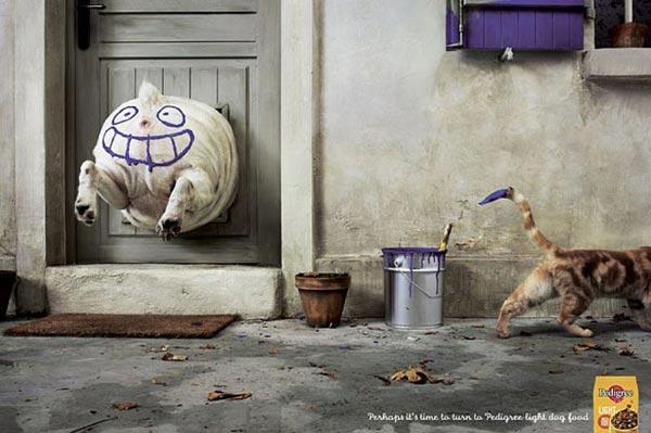 En çarpıcı reklam fotoğrafları - Resim 24