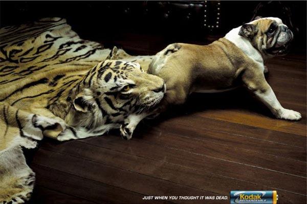 En çarpıcı reklam fotoğrafları - Resim 1