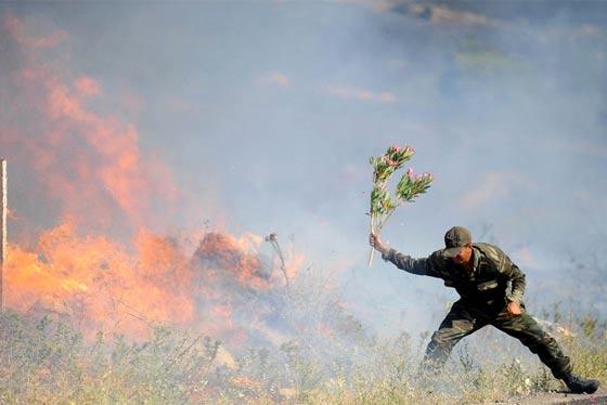 İşte yılın en iyi fotoğrafları - Resim 17