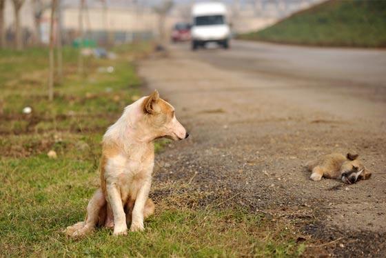 İşte yılın en iyi fotoğrafları - Resim 32