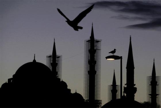 İşte yılın en iyi fotoğrafları - Resim 12