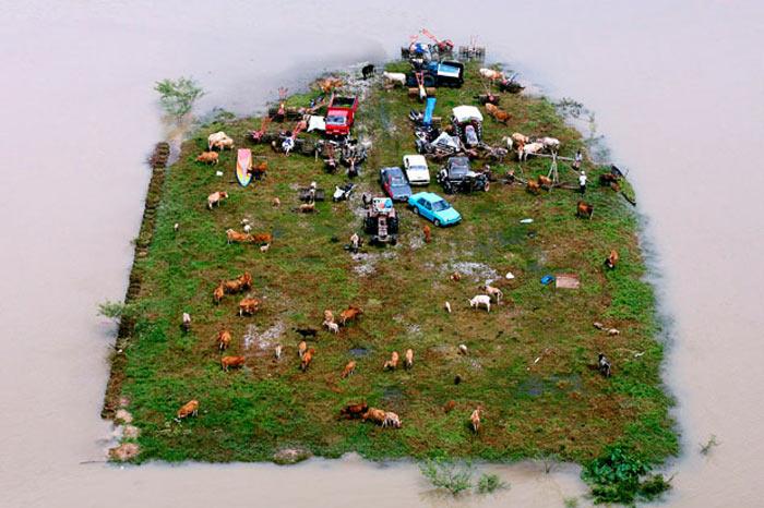2009'un felaketleri - Resim 12