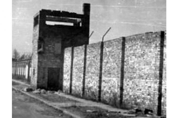 Naziler ve İsrail'in ortak noktası - Resim 3