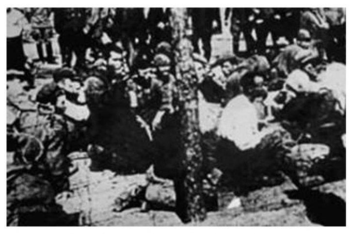 Naziler ve İsrail'in ortak noktası - Resim 7