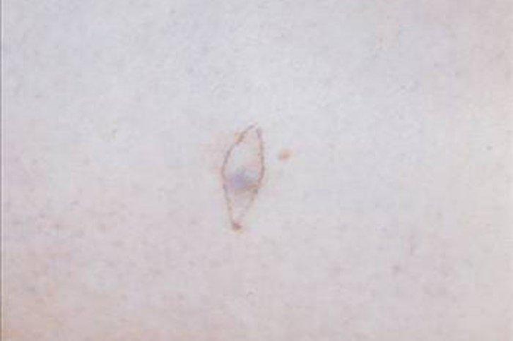 Türkiye'den UFO görüntüleri