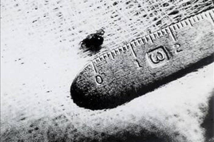 Türkiye'den UFO görüntüleri