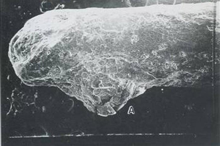 Türkiye'den UFO görüntüleri