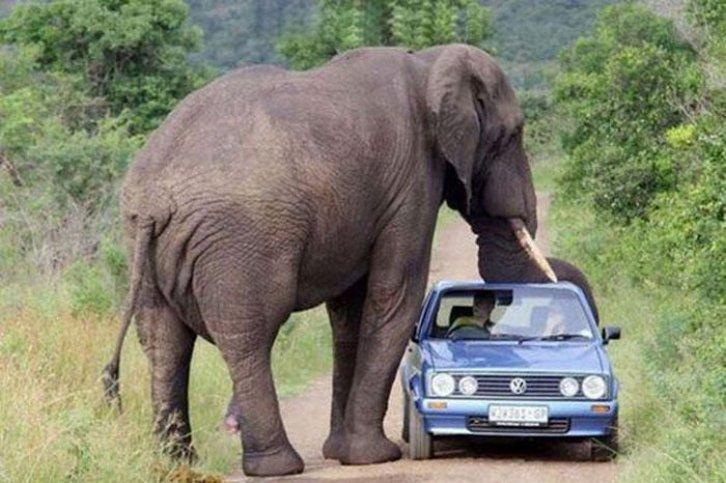 Şansa ihtiyaç duyulan anlar