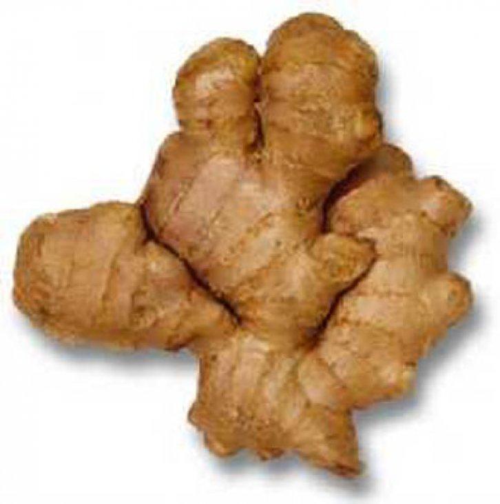 Şifalı bitkiler nerede nasıl kullanılmalı