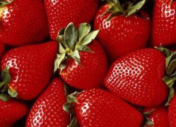 Bu besinler mutluluk veriyor! - Resim 2