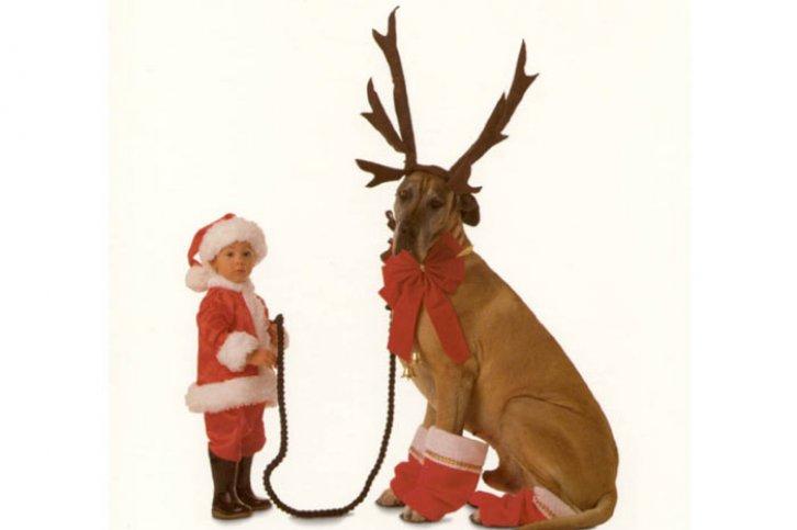 Bunları Sevmemek İmkansız - Resim 19