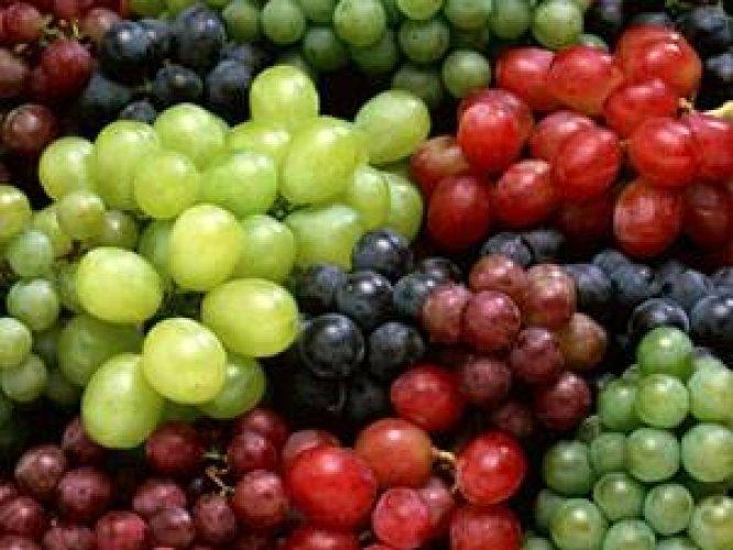 Bu besinler mutluluk veriyor! - Resim 11