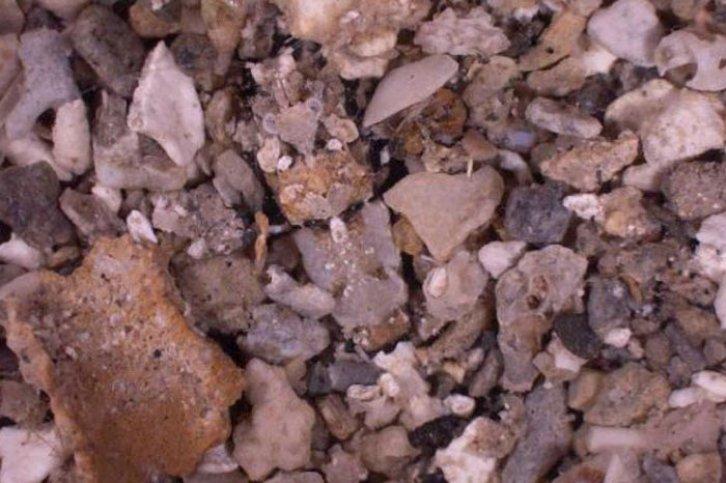 Kamuflajın üstadları