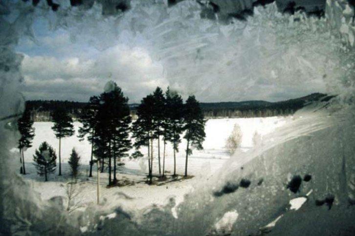 En Doğal Fotoğraflar - Resim 35