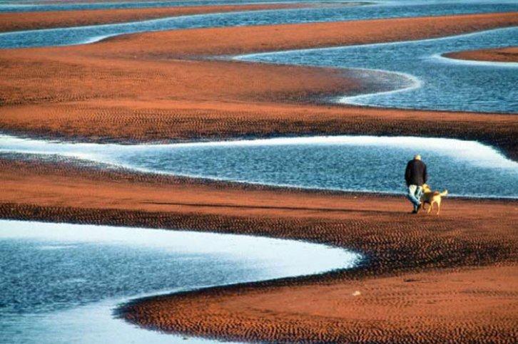 En Doğal Fotoğraflar - Resim 29