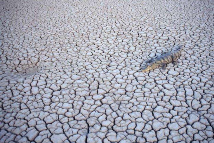 En Doğal Fotoğraflar - Resim 37