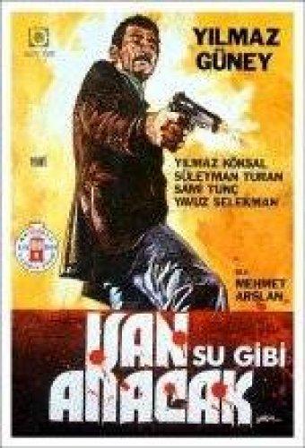 Yılmaz Güney'in unutulmaz filmleri - Resim 27