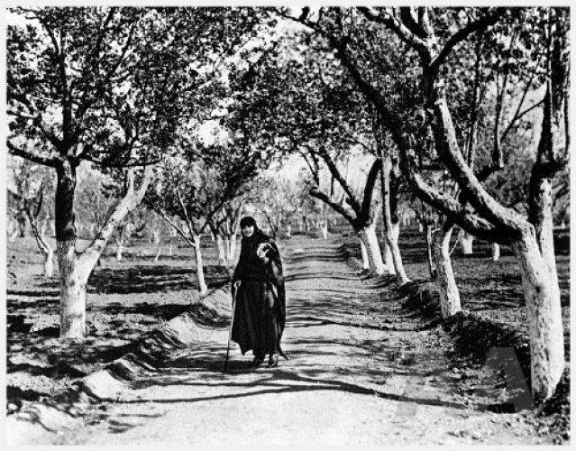  A.A.'nın 90. yılında 90 fotoğraf