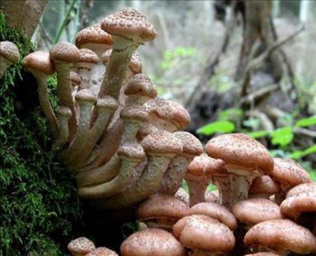 Cahil kalmamak için okuyun