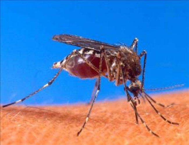 Cahil kalmamak için okuyun