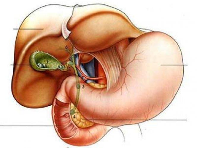  Kadın ve erkek arasındaki farklar 