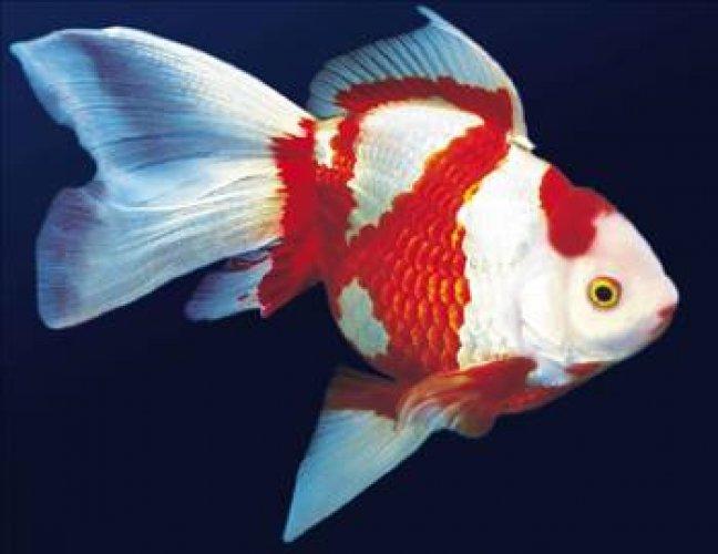 Cahil kalmamak için okuyun