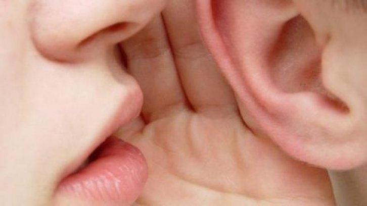  Kadın ve erkek arasındaki farklar 