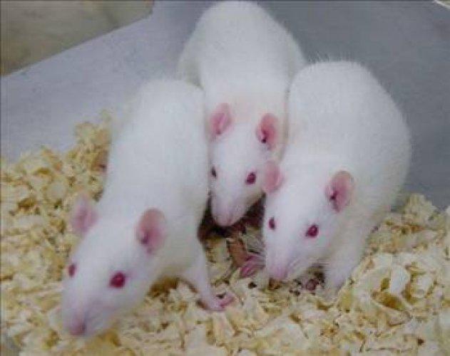 Cahil kalmamak için okuyun