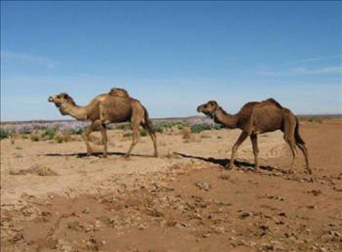 Cahil kalmamak için okuyun