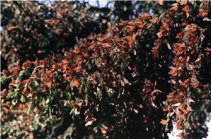 Ölmeden önce yapmanız gereken 100 şey