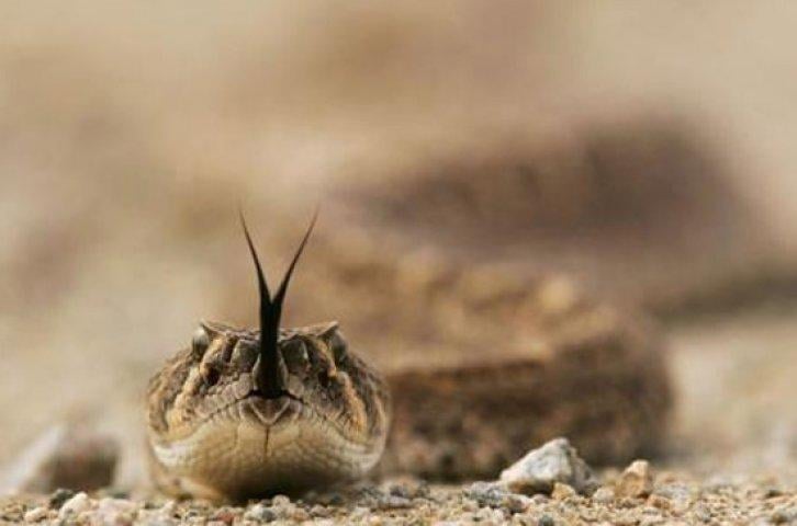 Ölmeden önce yapmanız gereken 100 şey