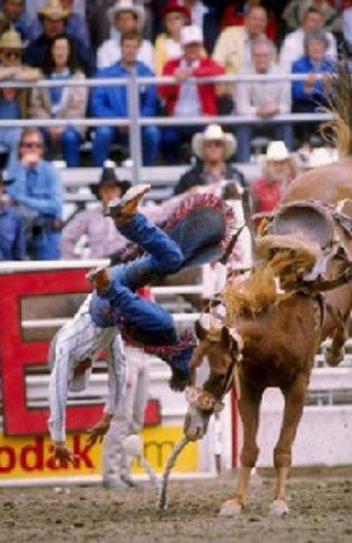 Ölmeden önce yapmanız gereken 100 şey