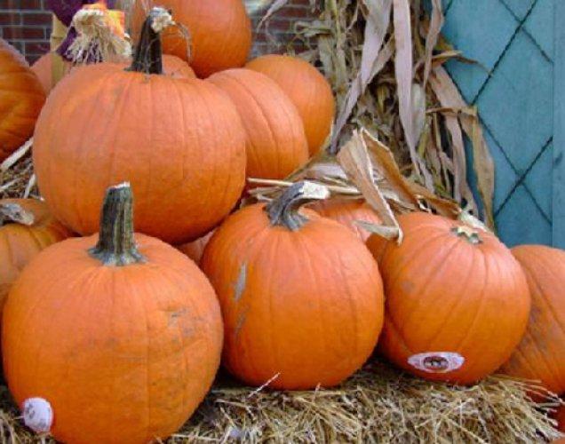 Ölmeden önce yapmanız gereken 100 şey