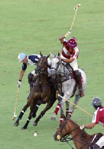 Ölmeden önce yapmanız gereken 100 şey