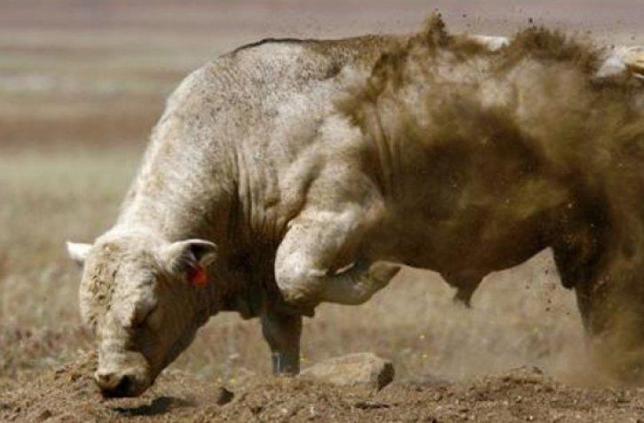 Ölmeden önce yapmanız gereken 100 şey