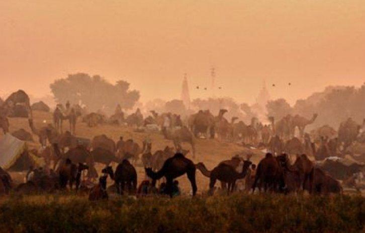 Ölmeden önce yapmanız gereken 100 şey