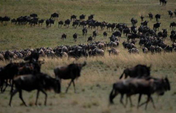 Ölmeden önce yapmanız gereken 100 şey