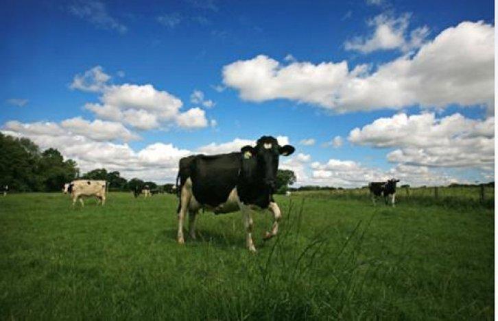 Ölmeden önce yapmanız gereken 100 şey