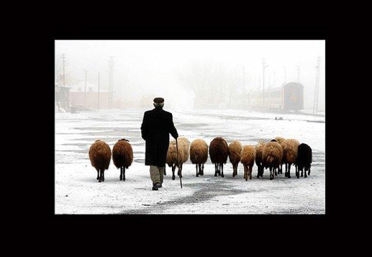 Türk fotoğrafçılar ödülleri topladı