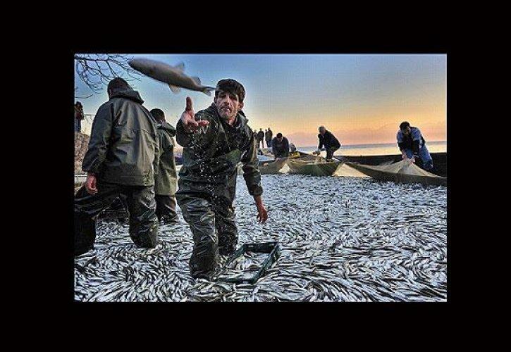 Türk fotoğrafçılar ödülleri topladı
