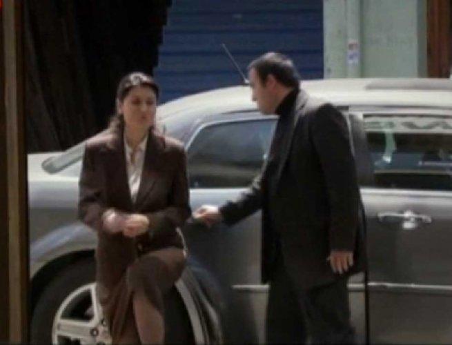 Kurtlar Vadisi Pusu'nun Leyla Zana'sı 