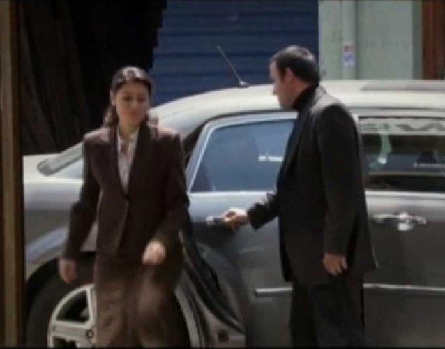 Kurtlar Vadisi Pusu'nun Leyla Zana'sı 