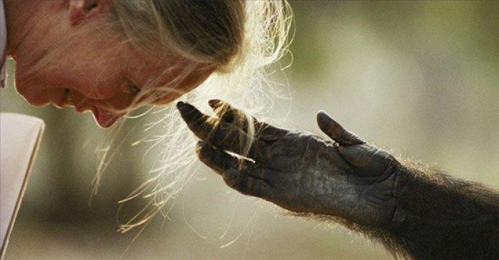 Dünyanın en güzel 40 doğa fotoğrafı