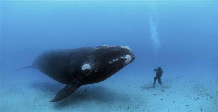 Dünyanın en güzel 40 doğa fotoğrafı
