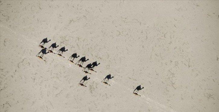 Dünyanın en güzel 40 doğa fotoğrafı