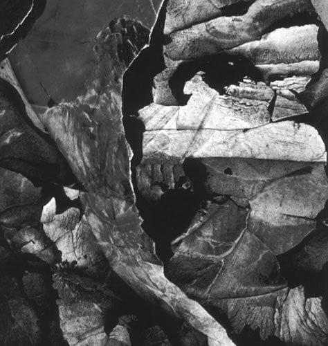 Dünyanın en güzel 40 doğa fotoğrafı